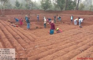 Cg News : मोर गांव मोर पानी’ महाअभियान के तहत मनरेगा में ऐतिहासिक पहल- बारिश से पहले 10 हजार से अधिक आजीविका डबरी निर्माण का लक्ष्य